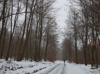 Trail Walking Bütgenbach - 2021-08-07_23h49m19_kalterherberg - Photo