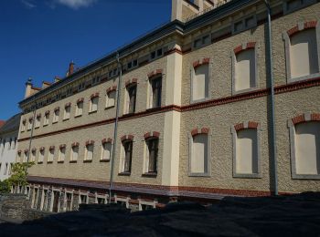 Percorso A piedi Oelsnitz/Vogtland - DE-Wanderweg Grüner Balken Raum Zwickau. Im Raum Treuen ist der 