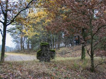 Tocht Te voet Pyrbaum - Rothenbühl-Weg - Photo