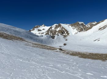 Tocht Sneeuwschoenen Entraunes - Petite Cayolle  - Photo