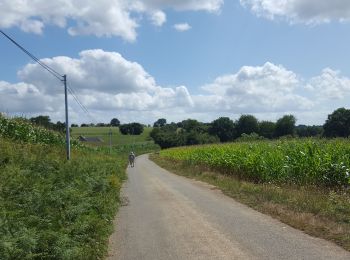 Tour Rennrad Montenay - 10 août 2019 montenay  22°c - Photo