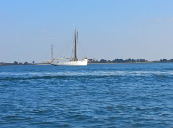 Excursión Piragüismo Saint-Armel - Tour de l'îles aux Moines au départ de Saint Armel - Photo