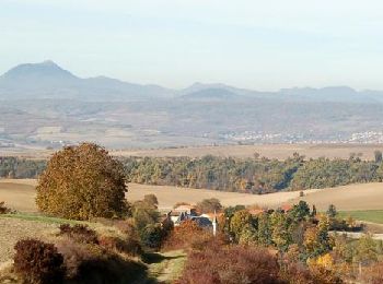 Randonnée Marche Sauvagnat-Sainte-Marthe - Sauvagnat_Puy_Neyrand - Photo