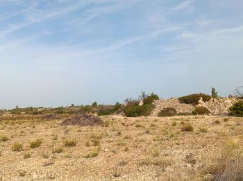 Tour Wandern Leucate - leucate - la franqui (via le plateau) - phare (via la falaise) - leucate (via le plateau) - Photo