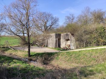 Tocht Stappen Villey-Saint-Étienne - FORT DU VIEUX CANTON ET SES ENVIRONS - Photo