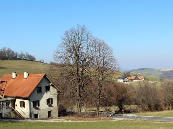 Randonnée A pied Bad Schönau - Schönau - Schlägen - Habich - Photo