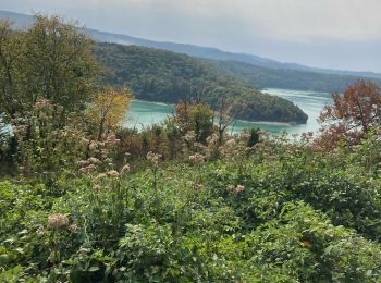 Excursión Paseo ecuestre La Tour-du-Meix - Vouglan mardi 19 - Photo