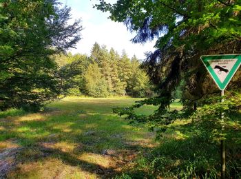 Randonnée A pied Knetzgau - Rundwanderweg Knetzgau K 5 - Photo