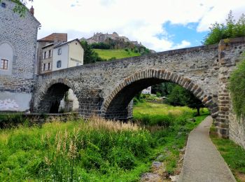 Tour Wandern Saint-Flour - Tour de Saint Flour - Photo