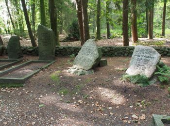 Tour Zu Fuß Winsen (Aller) - Rund um die Meißendorfer Teiche - Photo