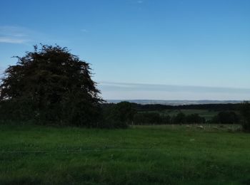 Excursión Senderismo Durbuy - WERIS ... et ses Mégalithes. - Photo