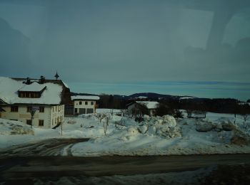 Percorso A piedi Thalgau - Rauchhaus Rundweg - Photo