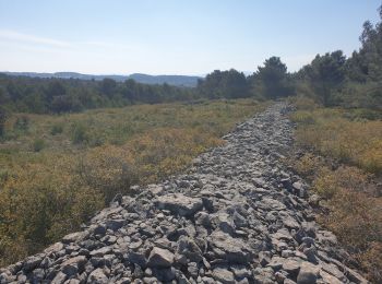 Trail Walking Villegly - Les Quatre vents - Photo