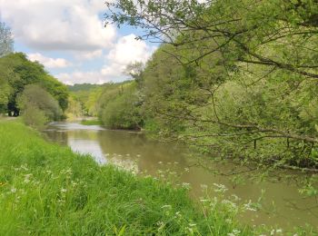 Trail Walking Torigny-les-Villes - Boucle depuis le Val de Vire - Photo