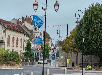 Tocht Stappen Nogent-sur-Seine - 221016 Nogent sur Seine - Photo