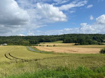 Randonnée Marche Bailleval - Rando cavée des Vaches - Photo