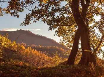 Trail On foot Montalto Carpasio - Anello Borghi Valle Carpasina - Photo