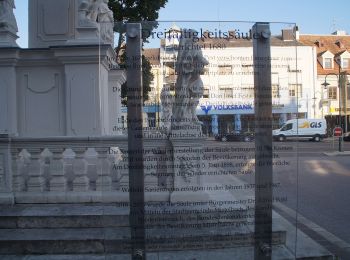 Percorso A piedi Gemeinde Mistelbach - Zayarundwanderweg - Photo