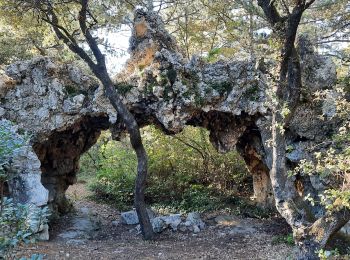 Randonnée Marche Donzère - Le Navon - Les Ruines de Belle-Eau 7km5 - Photo