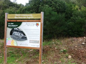 Tour Wandern Les Arcs-sur-Argens - dominique lundi 4 novembre 2019 - Photo