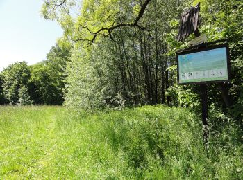 Tocht Te voet Górki Wielkie - Ścieżka przyrodniczo-dydaktyczna 