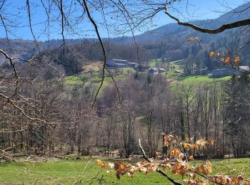 Randonnée Marche Sewen - Sewen - abris de Dolleren et du Sommerseite - Lachtelweiher - Col du Lochberg - Wissgrut - Photo