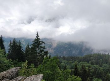 Randonnée Marche Arâches-la-Frasse - Mont Jovy pierre à Laya - Photo