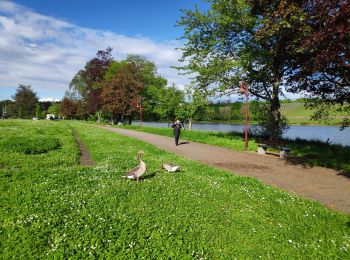 Trail Walking Remich - luxembourg - Photo