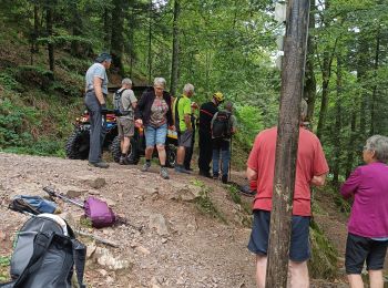 Trail Walking Natzwiller - visite  - Photo