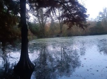 Percorso Marcia Amiens - amiens camon amiens par les hortillonnages - Photo