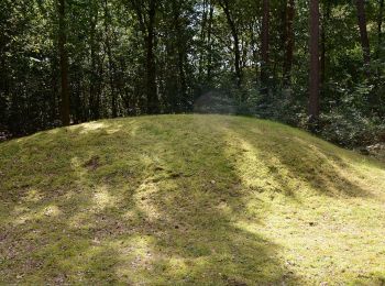 Trail On foot Peer - Hoksent-Molhem Oranje bol - Photo