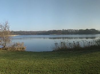 Tocht Te voet Zwolle - WNW IJsseldelta - Wijthmenerplas -groene route - Photo