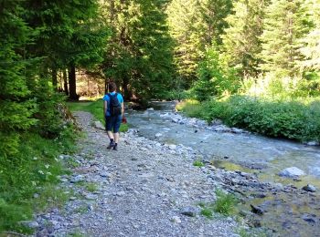 Excursión Senderismo Lavaldens - Les cascades de Vaunoire - Photo