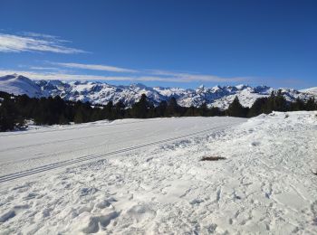 Trail Walking Albiès - plateau Beille  - Photo