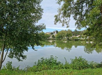 Tour Wandern Saint-Ouen - Parcours nature à Saint-Ouen (41100) - Photo