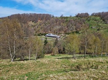 Trail Walking Kirchberg - Rando du 11/04/2024 ..Marcheurs - Photo