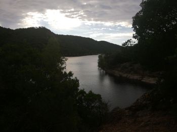 Tocht Mountainbike La Môle - Tour du lac de la Verne départ Pachacaïd - Photo