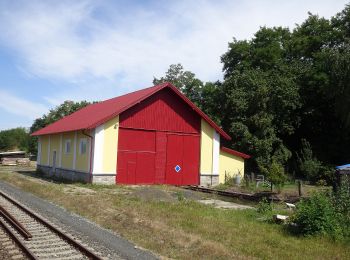 Excursión A pie Nýrsko - NS Po stopách starých formanů - Photo