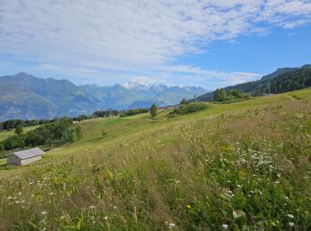 Percorso Marcia Peisey-Nancroix - Peisey Vallandry Le Chantel  - Photo