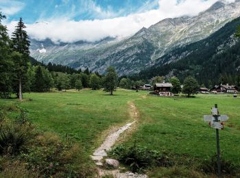 Randonnée A pied Macugnaga - Stra Granda tappa 2 - Photo