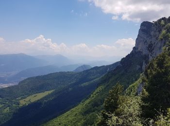 Percorso Marcia Lans-en-Vercors - Vertige des Cimes MN 2021 - Photo