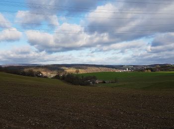 Randonnée A pied Eschelbronn - Rundwanderweg Eschelbronn Sporthalle 3: Kuhloch-Weg - Photo