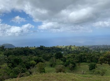 Tocht Trail Saint-Claude - Beausoleil la boucle  - Photo