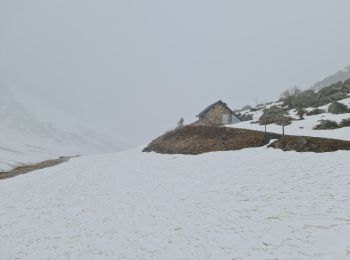 Tocht Sneeuwschoenen Aragnouet - Piau-Engaly: Le Col, Neste de Badet (Brouillard) - Photo