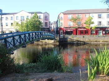 Trail On foot Sligo Municipal Borough District - Sligo Town Slí na Sláinte - Photo