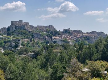 Randonnée Randonnée équestre Maussane-les-Alpilles - 2019-05-01 Rando CVA Alpilles Ranch Petit Roman Les Enganes - Photo