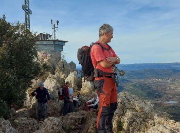 Excursión Senderismo Saint-Mathieu-de-Tréviers - Autour du pic saint loup - Photo