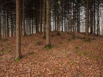 Tocht Te voet Langenenslingen - Aeusserer Zugangsweg des Schwäbischen Albvereins (blaues Dreieck) - Photo