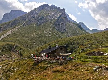 Randonnée A pied Oltre il Colle - Sentiero dei fiori - Photo