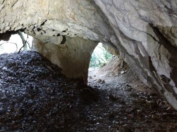 Tocht Stappen Vallon-Pont-d'Arc - Grottes Dérocs - Louoi - Photo